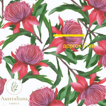 Load image into Gallery viewer, Australiana Fabrics Fabric Premium Quality Woven Cotton sateen 150gsm / 1 Metre Waratah on White
