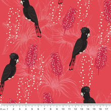 Load image into Gallery viewer, Australiana Fabrics Fabric 1 Metre / Cotton Sateen Black Cockatoo Fabric on Red
