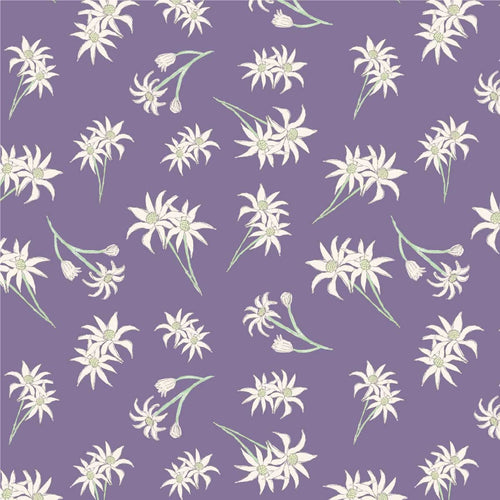 Australiana Fabrics Fabric 1 Metre / Premium woven cotton sateen 150gsm Flannel flowers Lavender Fabric
