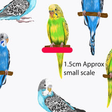 Load image into Gallery viewer, Australiana Fabrics Fabric 1 metre / Small / Woven Cotton 150 Budgerigars Fabric White
