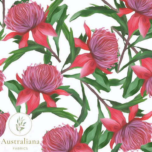 Australiana Fabrics Fabric Premium Quality Woven Cotton sateen 150gsm / 1 Metre Waratah on White