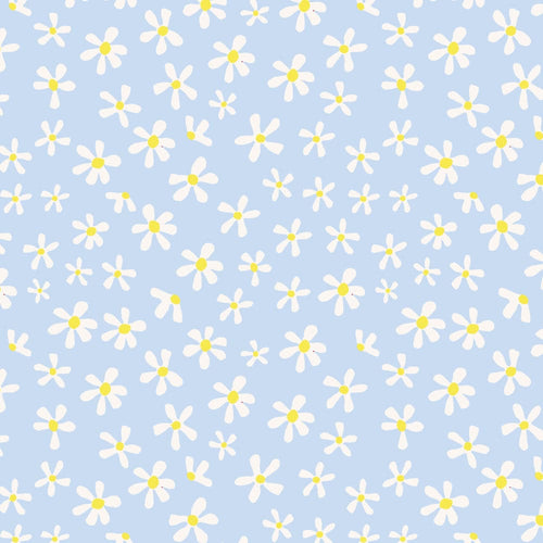 Australiana Fabrics Fabric Premium Woven Cotton sateen 150gsm / 1 Metre Daisy on Blue