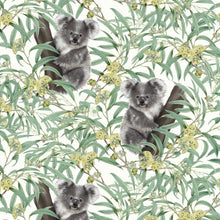 将图片加载到图库查看器，Australiana Fabrics Fabric Sweet Koala Fabric Remnant 40cm x 110cm approx

