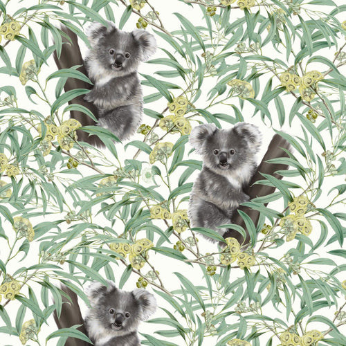 Australiana Fabrics Fabric Sweet Koala Fabric Remnant 40cm x 110cm approx